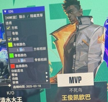 精准透视辅助
